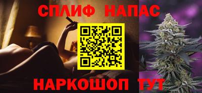a pvp Дубна